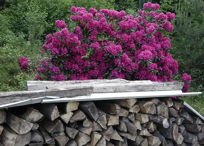 Le Jolis Bois Bed & Breakfast